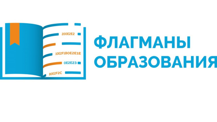 Проект "Флагман образования".